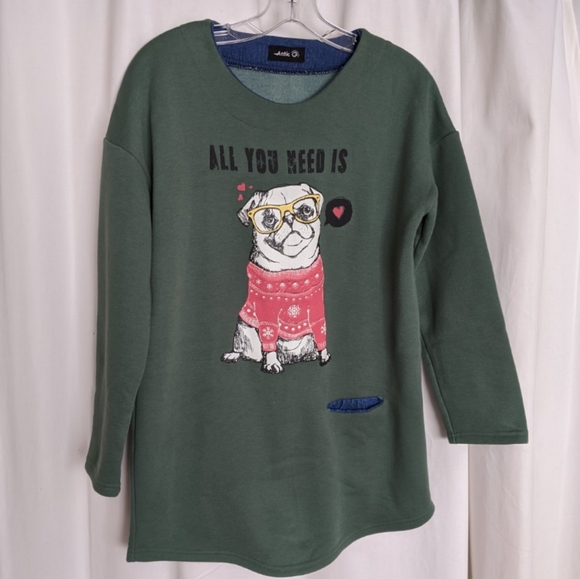 Adorable pug sweatshirt - Picture 1 of 5